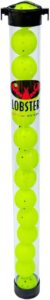 Pickleball & Tennis Ball Tube – Effortless Ball Retriever Tube – Holds 17 Tennis Balls or 14 Pickleballs – Lightweight Tennis Ball Tube Pickup & Pickleball Tube for Easy Ball Collection